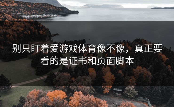 别只盯着爱游戏体育像不像,真正要看的是证书和页面脚本 别只盯着爱游戏体育像不像,真正要看的是证书和页面脚本