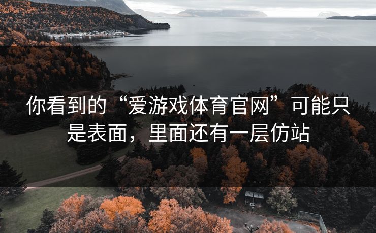 你看到的“爱游戏体育官网”可能只是表面，里面还有一层仿站