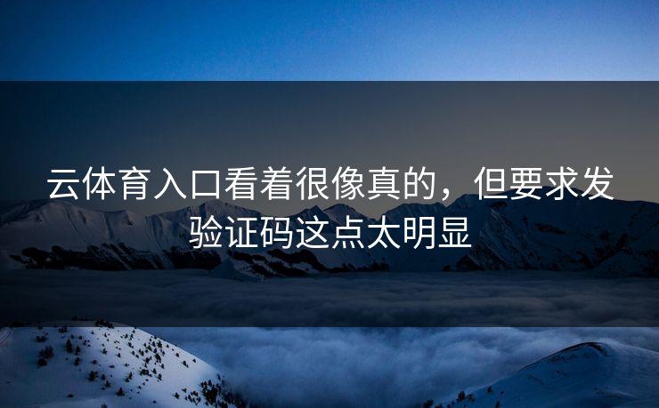 云体育入口看着很像真的,但要求发验证码这点太明显 云体育入口看着很像真的,但要求发验证码这点太明显