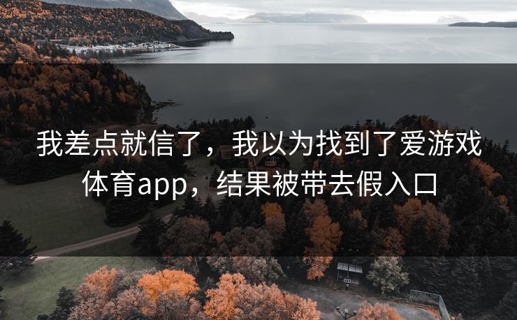 我差点就信了,我以为找到了爱游戏体育app,结果被带去假入口 我差点就信了,我以为找到了爱游戏体育app,结果被带去假入口